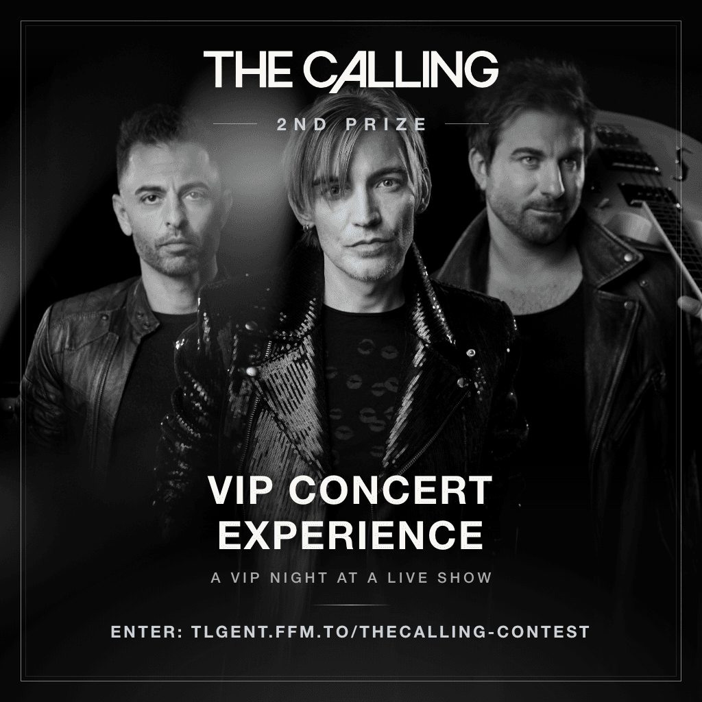 VIP Concert Experience